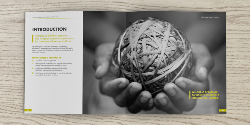 Complexas非洲生態(tài)環(huán)境監(jiān)測公司宣傳冊設(shè)計