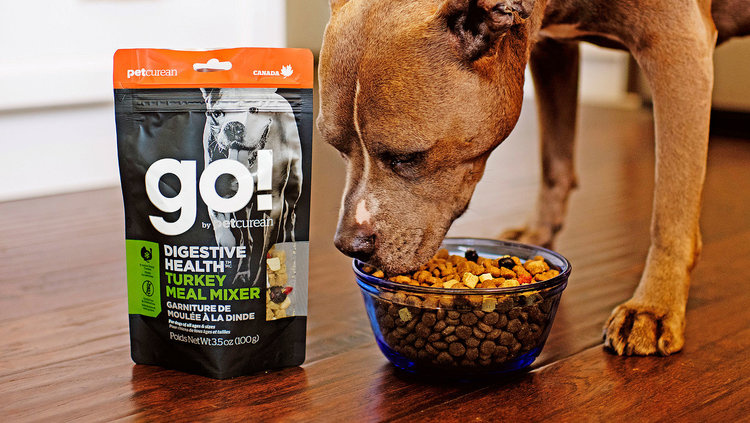 GO！混合膳食保健狗糧包裝設(shè)計(jì)-上海包裝設(shè)計(jì)公司