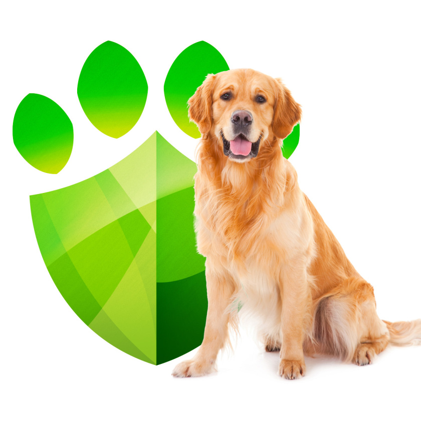 SIMPARICA 寵物藥品包裝設(shè)計(jì)“爪子盾牌”篇