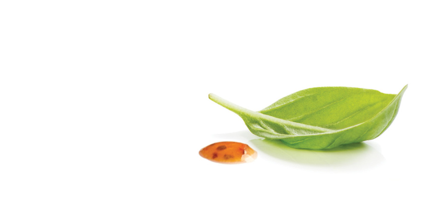 Gourmet Garden美食花園袋裝醬料包包裝設(shè)計，展現(xiàn)自然清新的美味