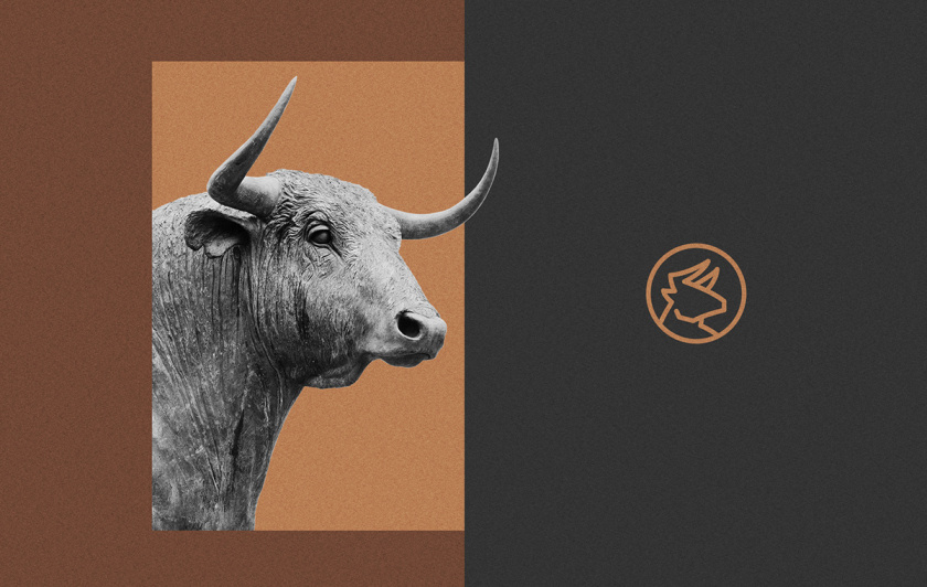 BDB金融投資創(chuàng)投公司vi形象設(shè)計(jì)與公牛logo設(shè)計(jì)