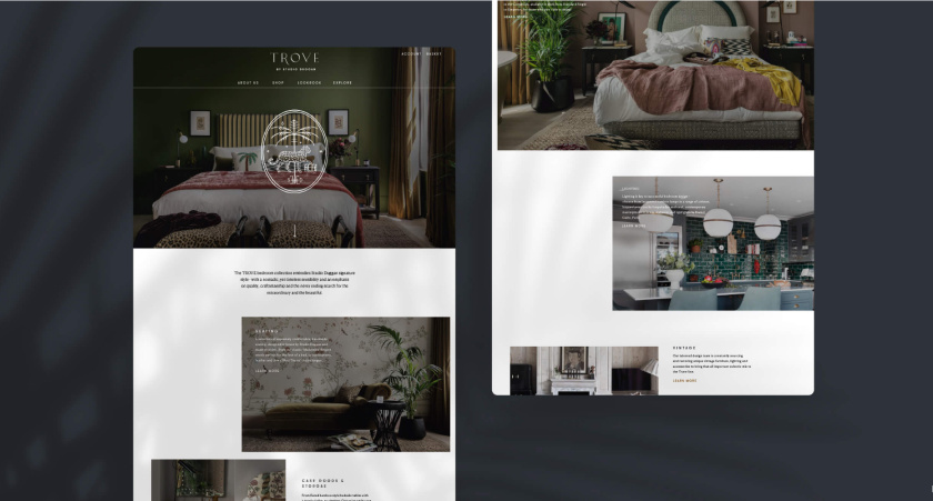 Trove 家具品牌logo設(shè)計。由豹+棕櫚樹+鑰匙組合而成