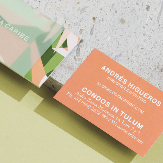 這種明亮有趣的顏色組合的品牌設(shè)計，具有良好的熱帶風情。