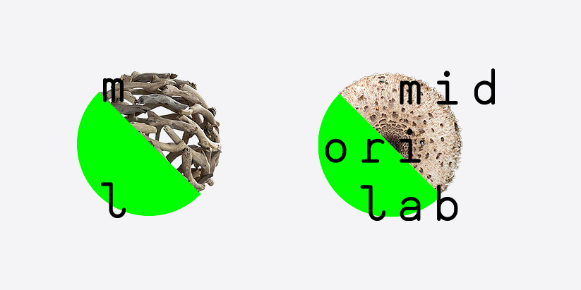 滿活力的綠色品牌設(shè)計，需要認真的技能才能使如此大膽的綠色工作如此美麗