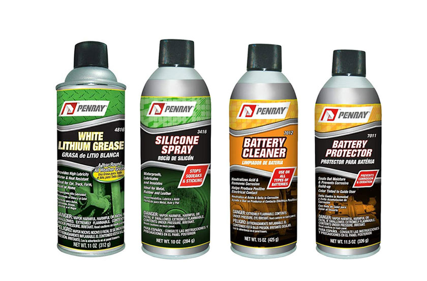 panray 汽車清潔劑養(yǎng)護品logo與包裝設計