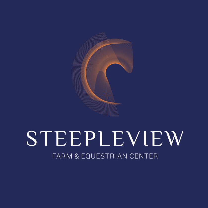 超細(xì)線(xiàn)條logo設(shè)計(jì)-抽象馬logo設(shè)計(jì)