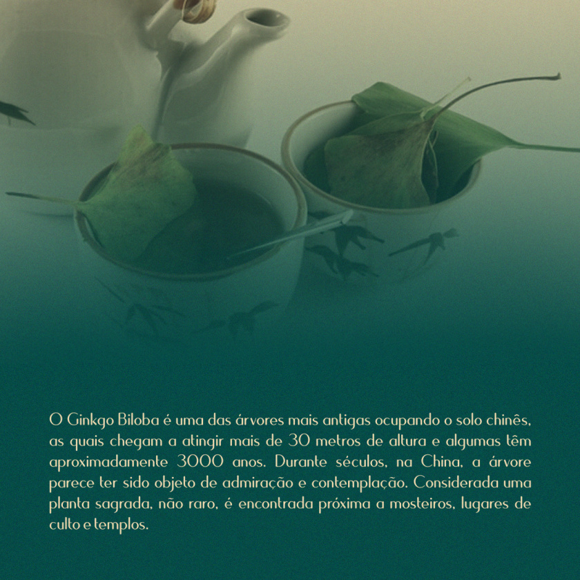 Rafael Erling 醫(yī)療醫(yī)藥保健品公司logo設計“銀杏葉+字母R”