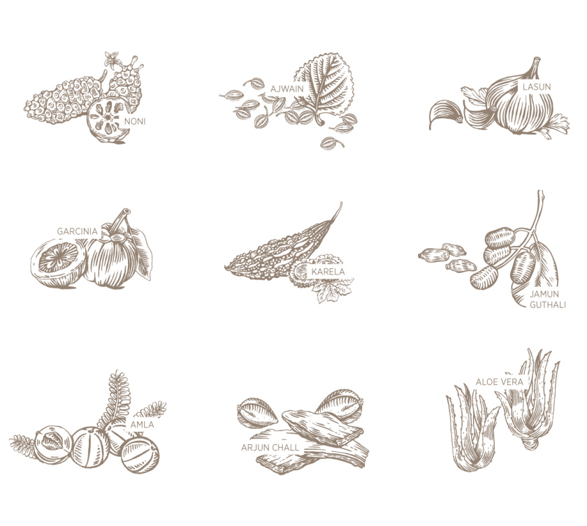 Kapiva處方藥藥品包裝設(shè)計(jì)，嚴(yán)謹(jǐn)?shù)纳珘K加植物插圖