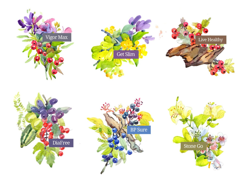 Kapiva水果系列營(yíng)養(yǎng)補(bǔ)充劑包裝設(shè)計(jì)包裝設(shè)計(jì)，嚴(yán)謹(jǐn)?shù)纳珘K加植物插圖