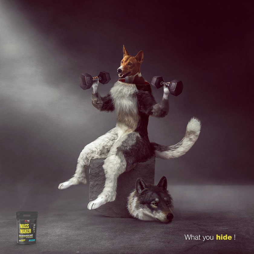 Advanced Sports Nutrition高級運(yùn)動營養(yǎng)食品平面廣告設(shè)計，在對比中逆襲身材