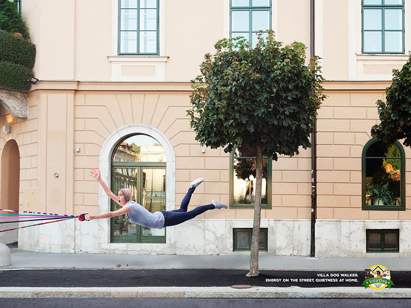 Villa Dog Pet Shop 遛狗牽引繩平面廣告之間，跑的快不如拉力強