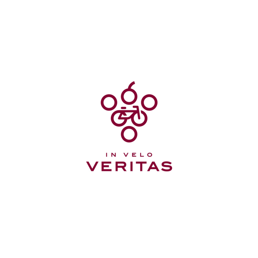 圈子看起來(lái)像一串葡萄，兩個(gè)圓圈連在一起看起來(lái)像一輛自行車旅游logo設(shè)計(jì)