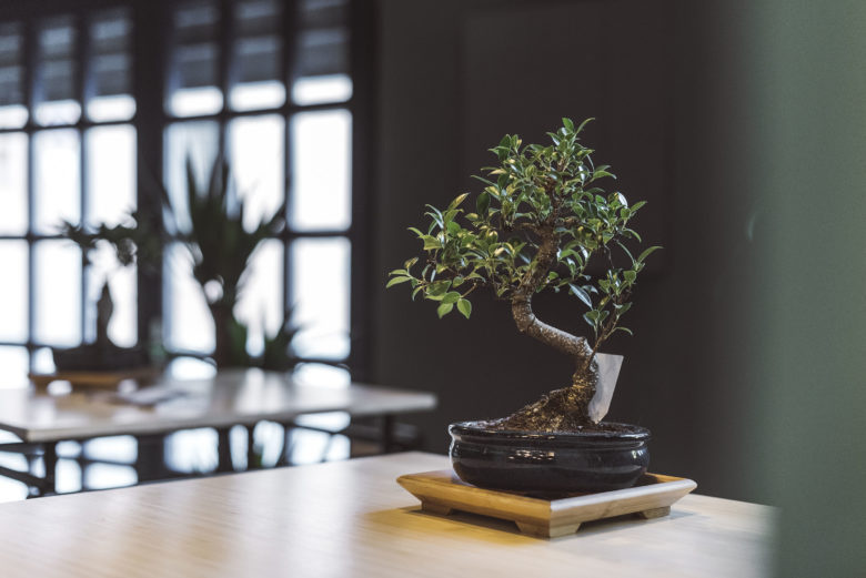 Dhabbu亞洲美食餐廳餐飲空間設(shè)計(jì)，突出亞洲元素