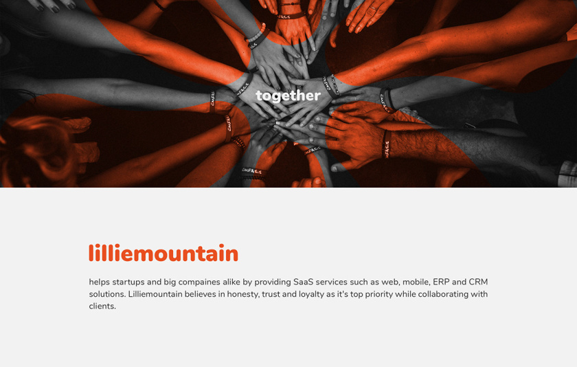 Lilliee 互聯(lián)網(wǎng)IT科技公司品牌形象設(shè)計-logo/vi設(shè)計 Lilliee 互聯(lián)網(wǎng)IT科技公司品牌形象設(shè)計-logo/vi設(shè)計