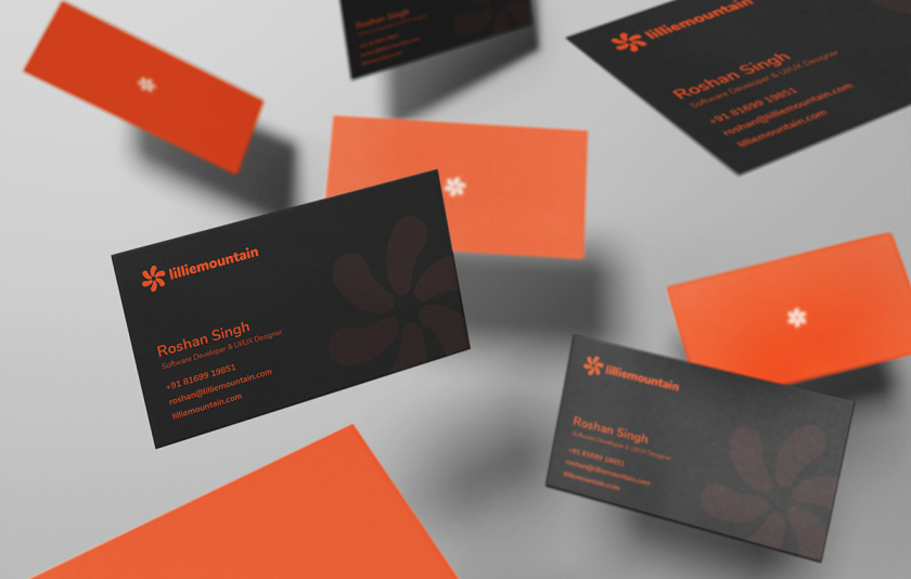 Lilliee 互聯(lián)網(wǎng)IT科技公司品牌形象設(shè)計-logo/vi設(shè)計 Lilliee 互聯(lián)網(wǎng)IT科技公司品牌形象設(shè)計-logo/vi設(shè)計