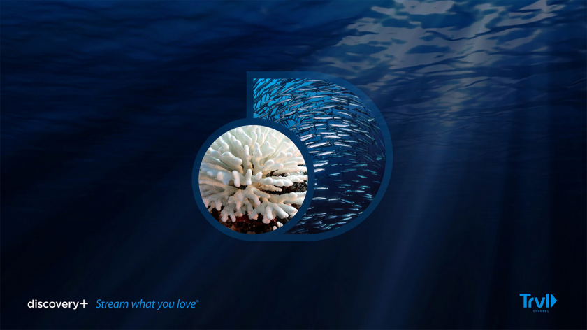 Discovery+探索電視節(jié)目頻道品牌logo設(shè)計(jì)，光譜色幾何D和一個(gè)圓的結(jié)合