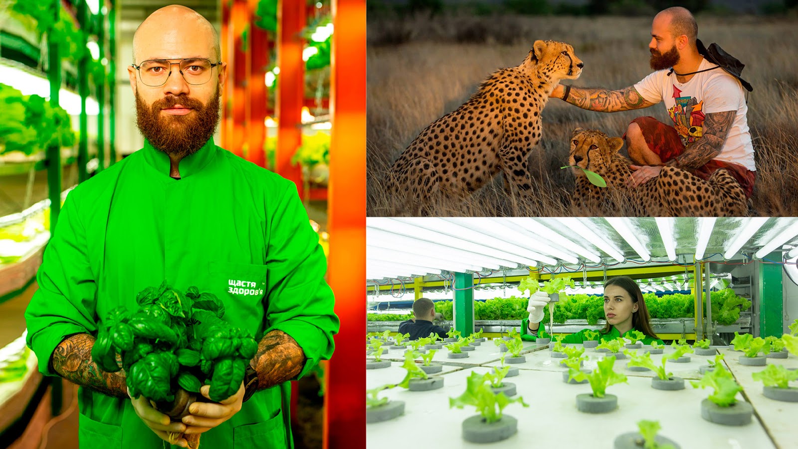 BABYMIX垂直農(nóng)場蔬菜沙拉透明盒裝包裝設(shè)計，用透明突出新鮮