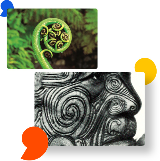 新積分品牌名稱Koru：螺旋形徽標(biāo)的完美搭配