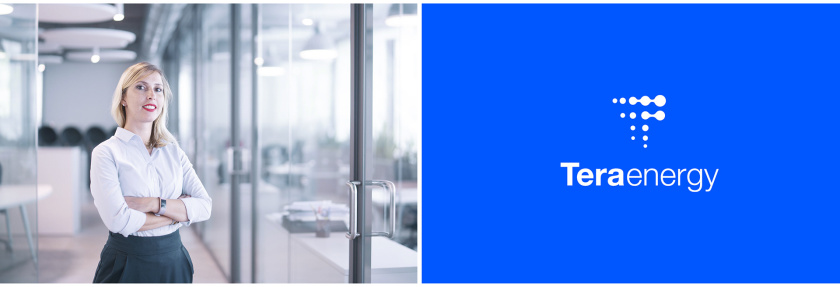 Tera Energy 能源咨詢公司logo設(shè)計vi設(shè)計，動態(tài)圓點科技風(fēng)格