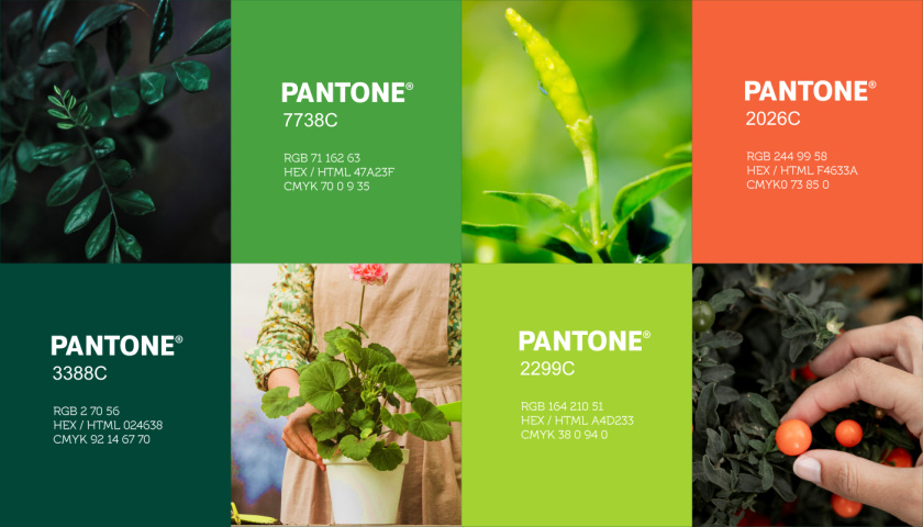 圣維德園藝鮮花綠植花園品牌形象vi視覺識別設計，多彩幾何圖形風格