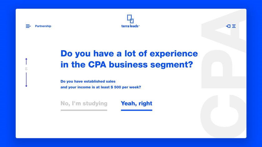 Leads 注冊會計師互聯(lián)網(wǎng)平臺網(wǎng)站品牌形象vi設計網(wǎng)站設計，變化的垂直線條