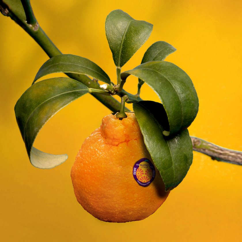 Sumo Citrus 橘子包裝箱設(shè)計(jì)靈感來自水果的獨(dú)特形狀和日式圖案