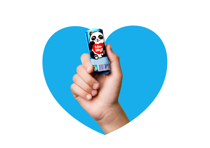 Mi-Shu 豆腐干包裝設(shè)計(jì)，品牌命名與熊貓插畫設(shè)計(jì)