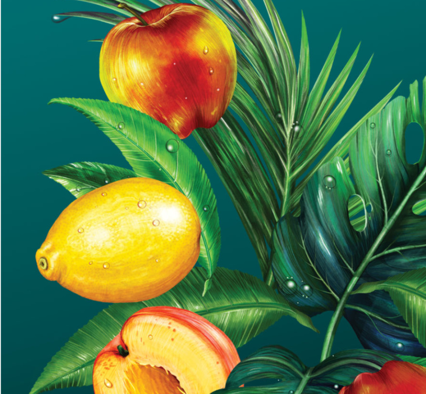 Wild Leaf 野葉硬茶水果混合茶飲飲料易拉罐包裝設(shè)計(jì)，紅色熱帶雨林插畫風(fēng)格