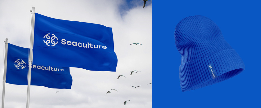 Seaculture 海水養(yǎng)殖海鮮品牌logo與vi識(shí)別設(shè)計(jì)，四個(gè)線條魚組合