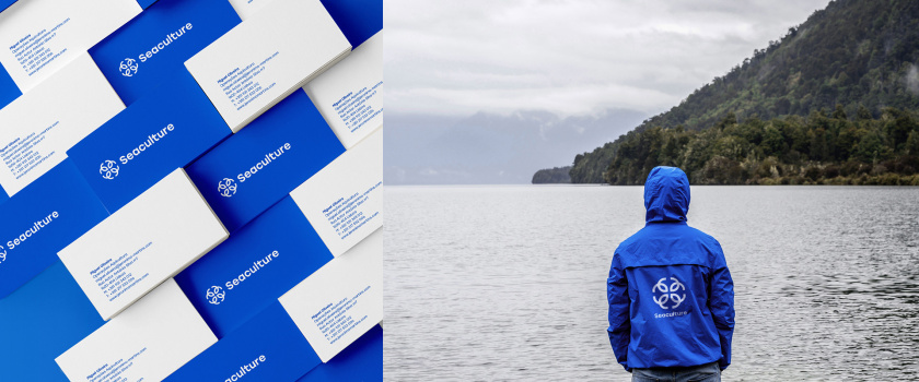 Seaculture 海水養(yǎng)殖海鮮品牌logo與vi識(shí)別設(shè)計(jì)，四個(gè)線條魚組合