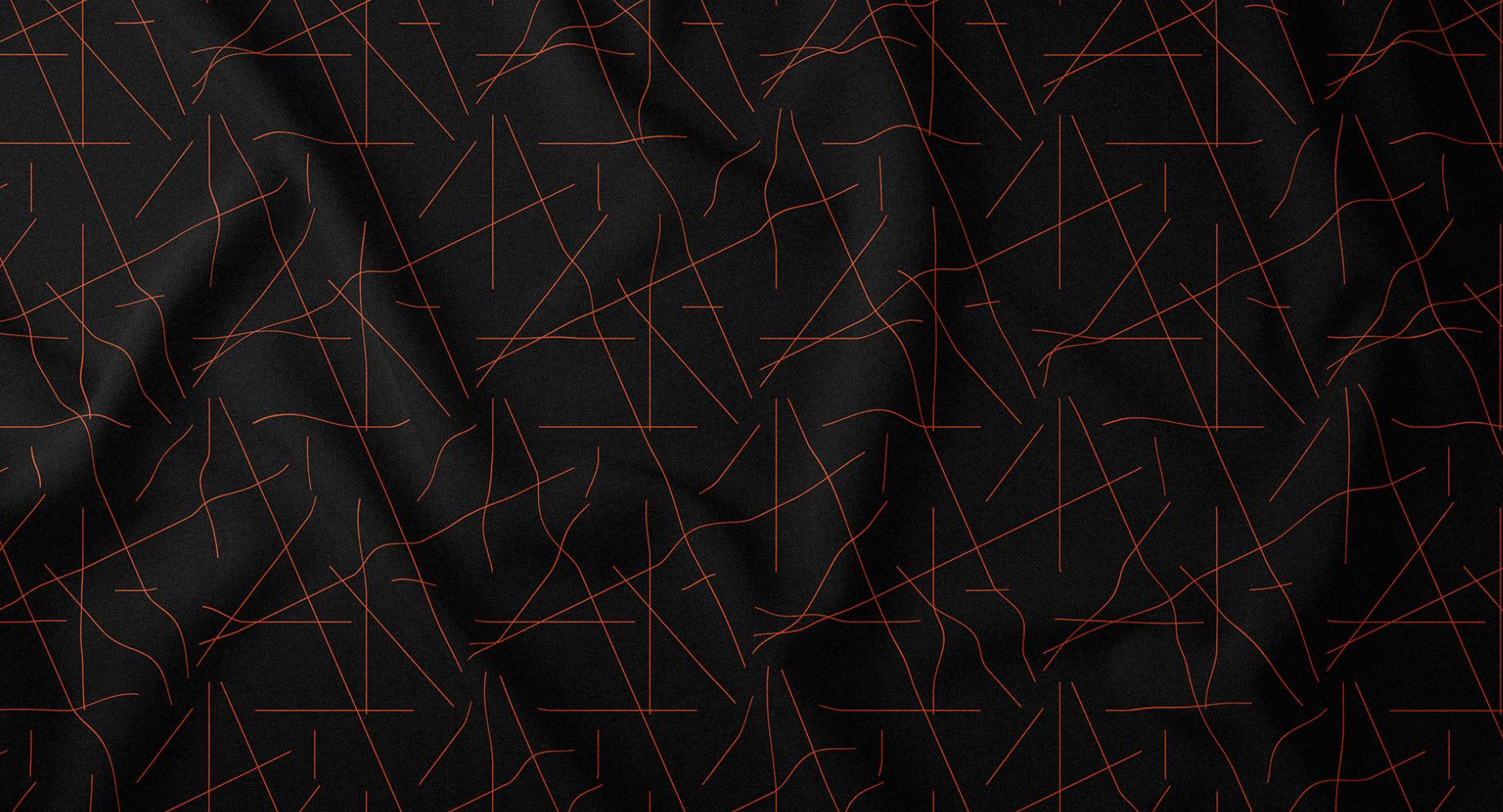 個性與時尚的Liz Almeida服裝品牌vi設(shè)計，以“雜亂而有序排列的線元素為輔助識別