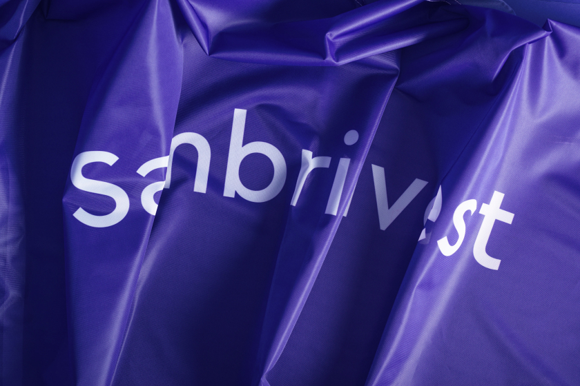 Sambrinvest 金融集團(tuán)公司logo設(shè)計(jì)品牌形象vi設(shè)計(jì)，單色簡約而又藝術(shù)的風(fēng)格