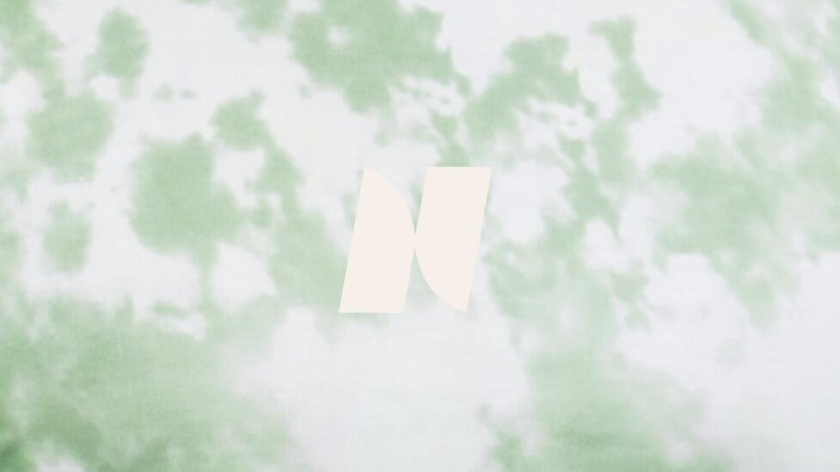 Nyord 服飾品牌識別設(shè)計-logo與vi設(shè)計,獨特的字母N設(shè)計及組合圖案