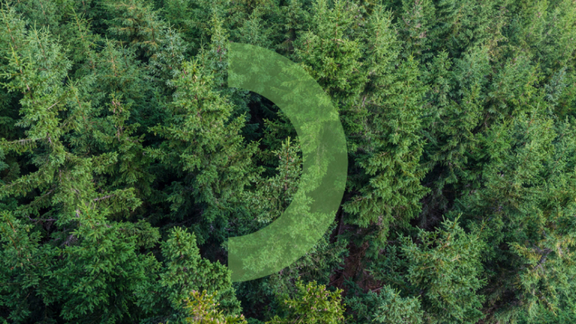 Mari El旅游品牌形象設(shè)計(jì)logo設(shè)計(jì)，一個(gè)清新放松的品牌形象