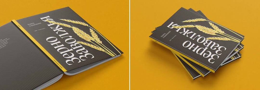 Zerno 農(nóng)業(yè)公司自傳書籍編輯畫冊(cè)設(shè)計(jì) Zerno 農(nóng)業(yè)公司自傳書籍編輯畫冊(cè)設(shè)計(jì)