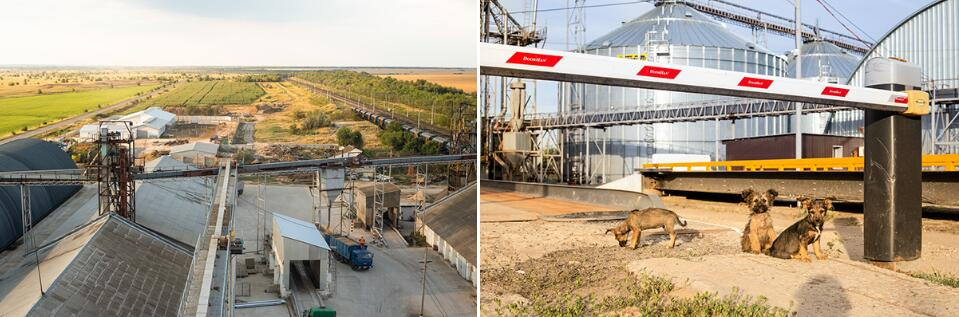 Zerno 農(nóng)業(yè)公司自傳書籍編輯畫冊(cè)設(shè)計(jì) Zerno 農(nóng)業(yè)公司自傳書籍編輯畫冊(cè)設(shè)計(jì)