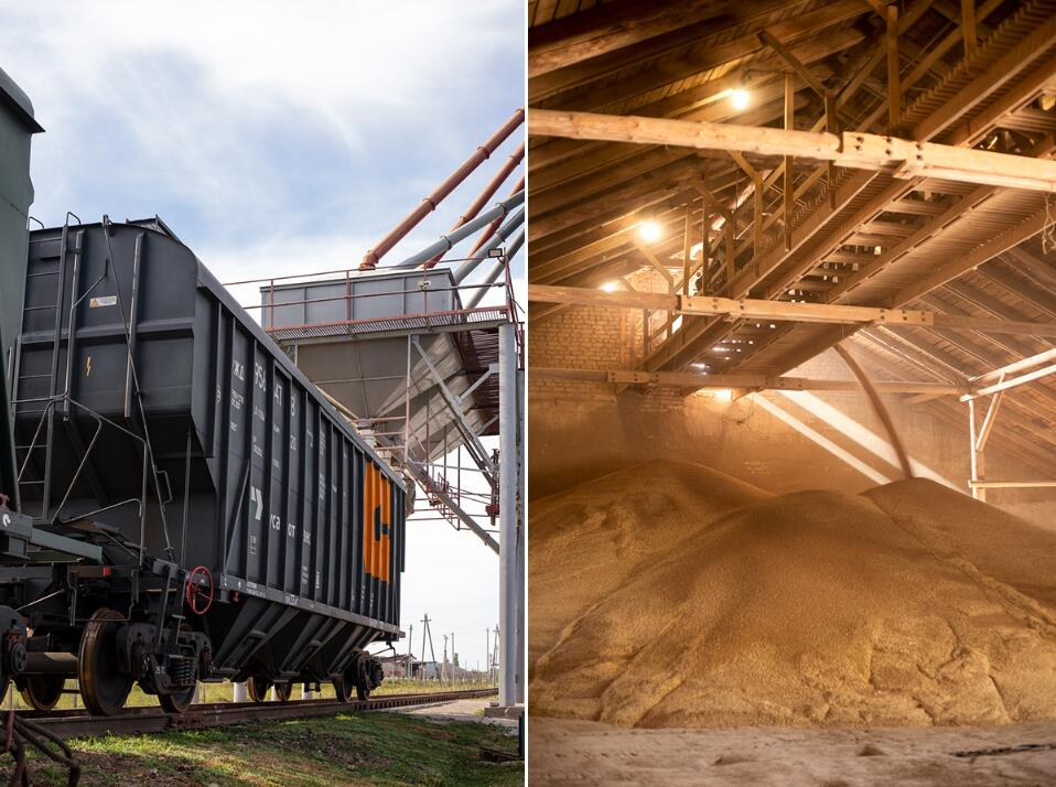 Zerno 農(nóng)業(yè)公司自傳書籍編輯畫冊(cè)設(shè)計(jì) Zerno 農(nóng)業(yè)公司自傳書籍編輯畫冊(cè)設(shè)計(jì)