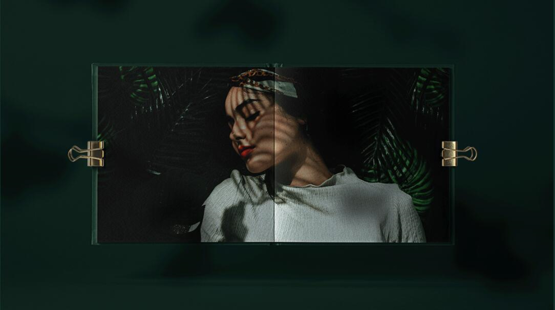 Leo Accioly 高質(zhì)量攝影公司品牌識(shí)別設(shè)計(jì)