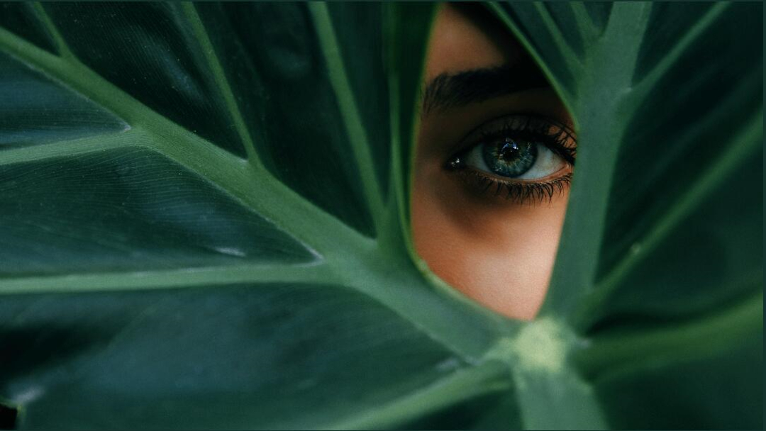 Leo Accioly 高質(zhì)量攝影公司品牌識(shí)別設(shè)計(jì)