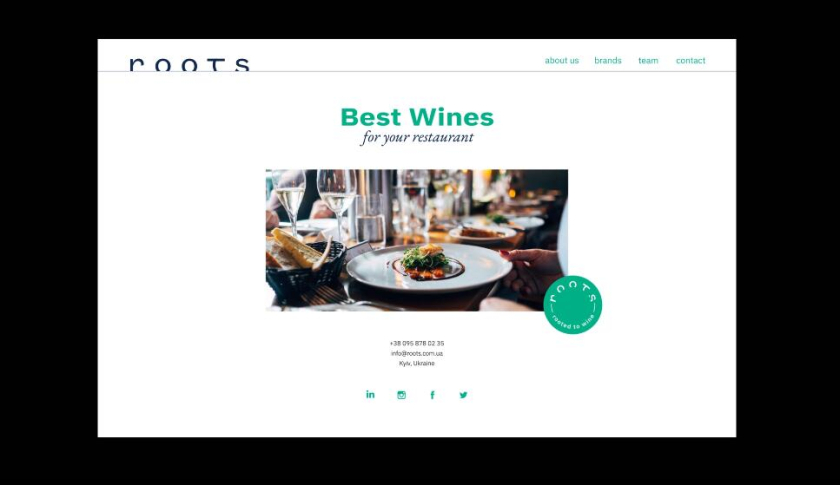 Roots 烏克蘭進(jìn)口葡萄酒公司vi設(shè)計，梯田線條元素