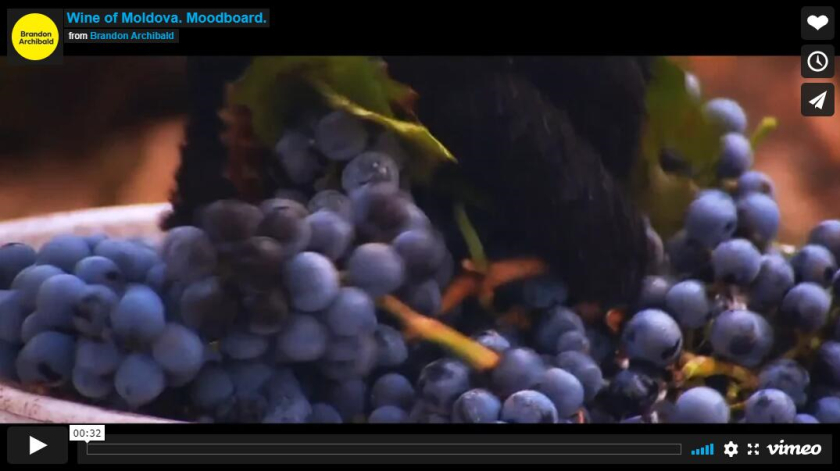 摩爾多瓦釀酒師協(xié)會(huì)logo設(shè)計(jì)“地圖+酒滴+葡萄+白鸛展翅+火”