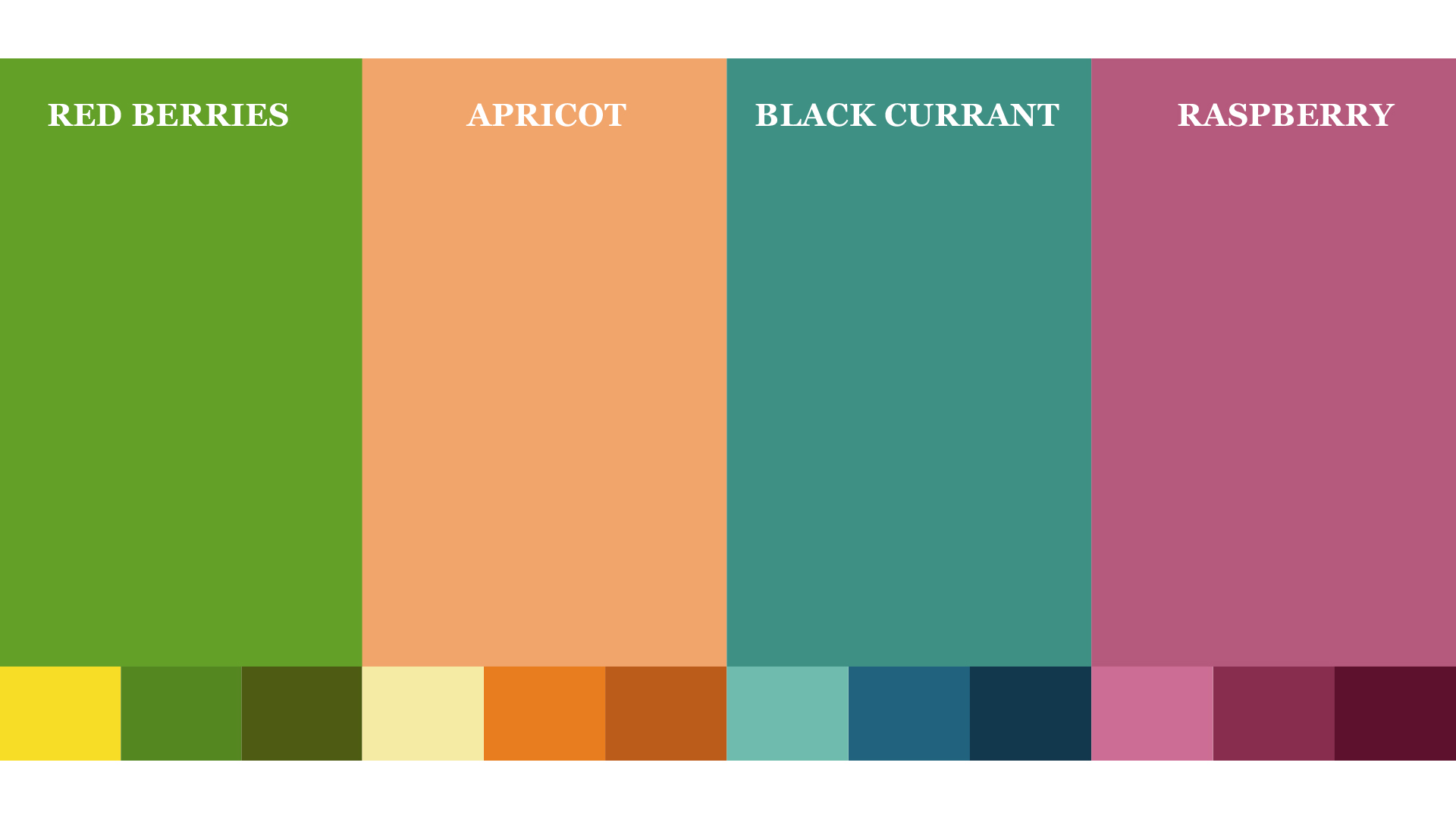 Belevsky水果糖果餅干包裝設(shè)計，多樣化配色與充滿食欲的水果插畫
