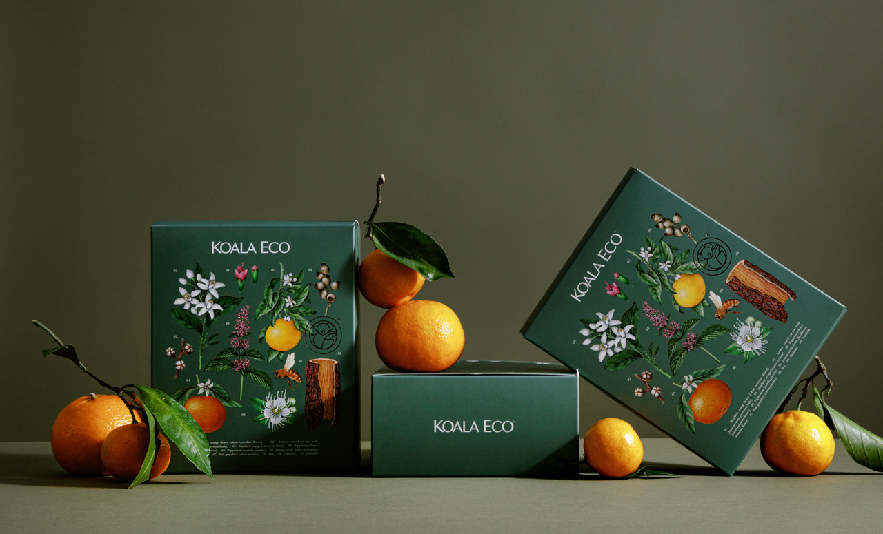 koala 植物精油綠色禮盒包裝設(shè)計，自然精致的植物花卉昆蟲插畫