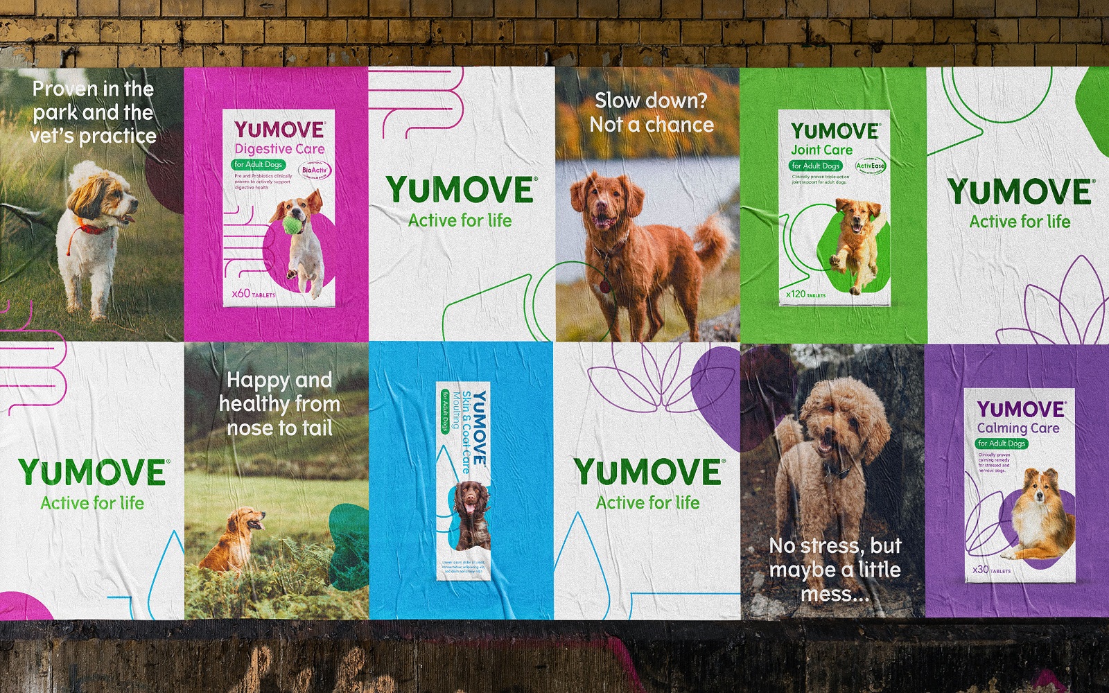 YuMOVE寵物護(hù)理品牌戰(zhàn)略策劃與系列產(chǎn)品包裝形象更新設(shè)計(jì)‘色塊+線條“