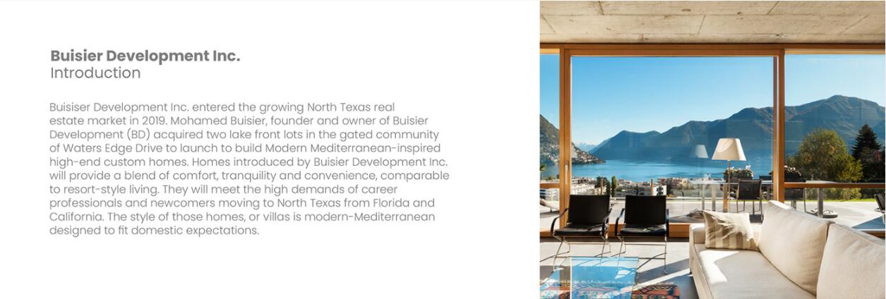 Buisier 別墅地產(chǎn)項(xiàng)目logo設(shè)計(jì)vi形象設(shè)計(jì)