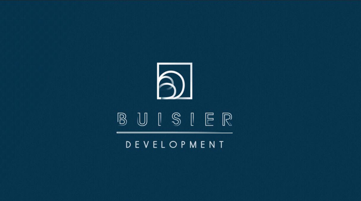 Buisier 別墅地產(chǎn)項(xiàng)目logo設(shè)計(jì)vi形象設(shè)計(jì)，B+D字母+方框
