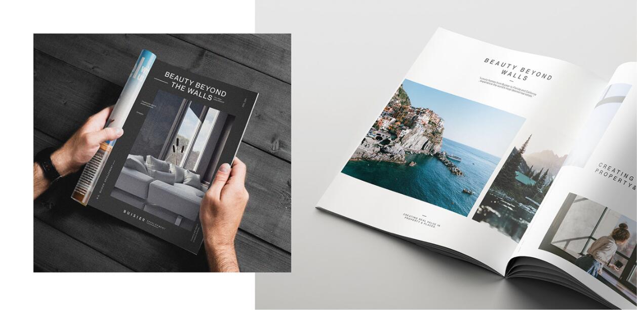 Buisier 別墅地產(chǎn)項(xiàng)目logo設(shè)計(jì)vi形象設(shè)計(jì)，B+D字母+方框