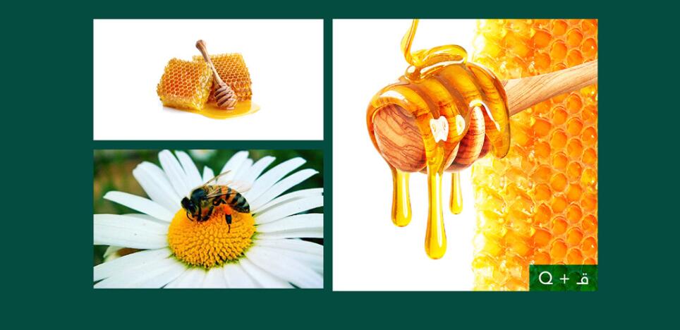 Qatfa 蜂蜜在線商店對(duì)稱Q字母logo設(shè)計(jì)