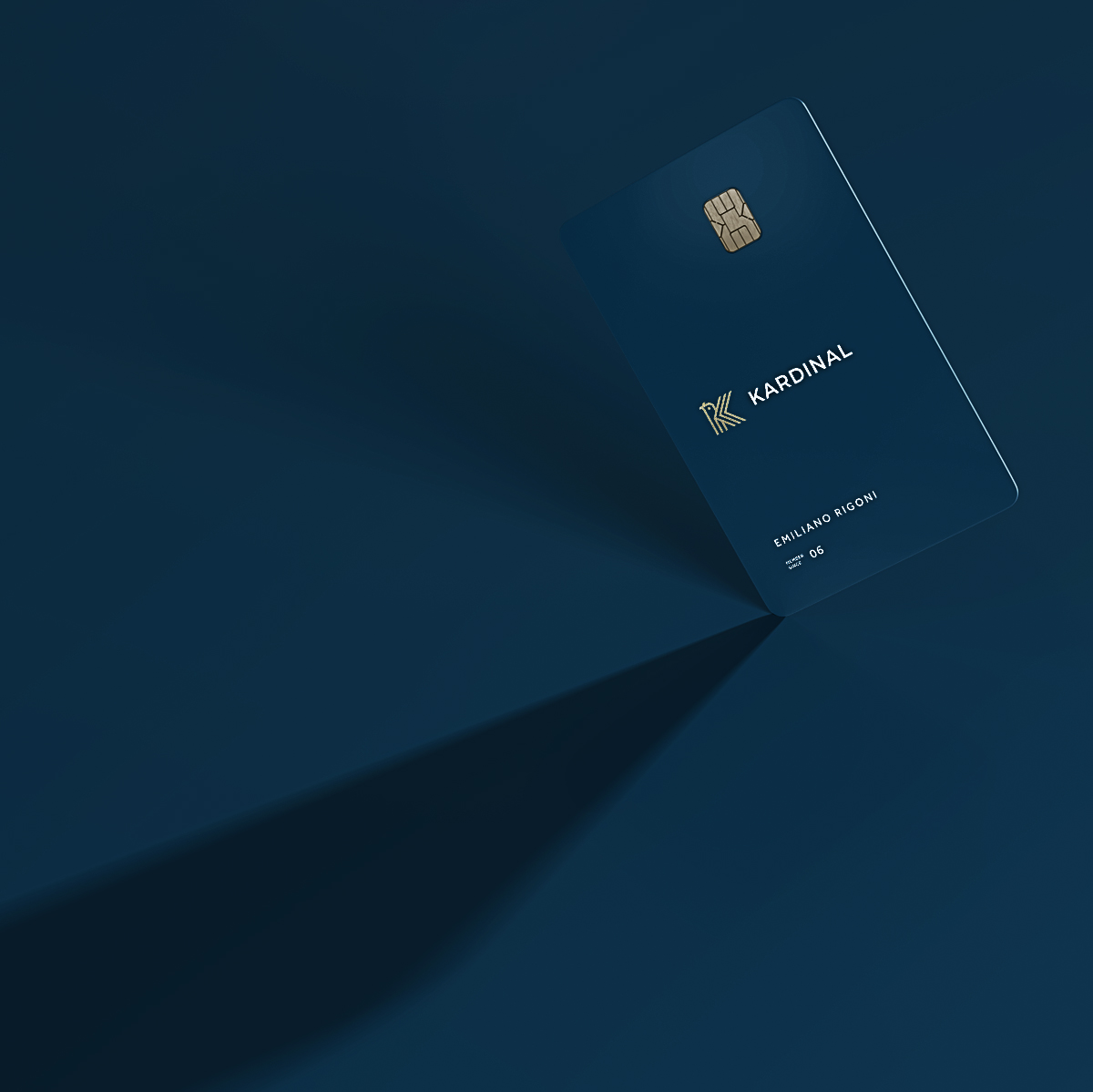 Kardina 家族理財（財務顧問公司）金融logo設計vi設計，鳥+首字母K+方向箭頭