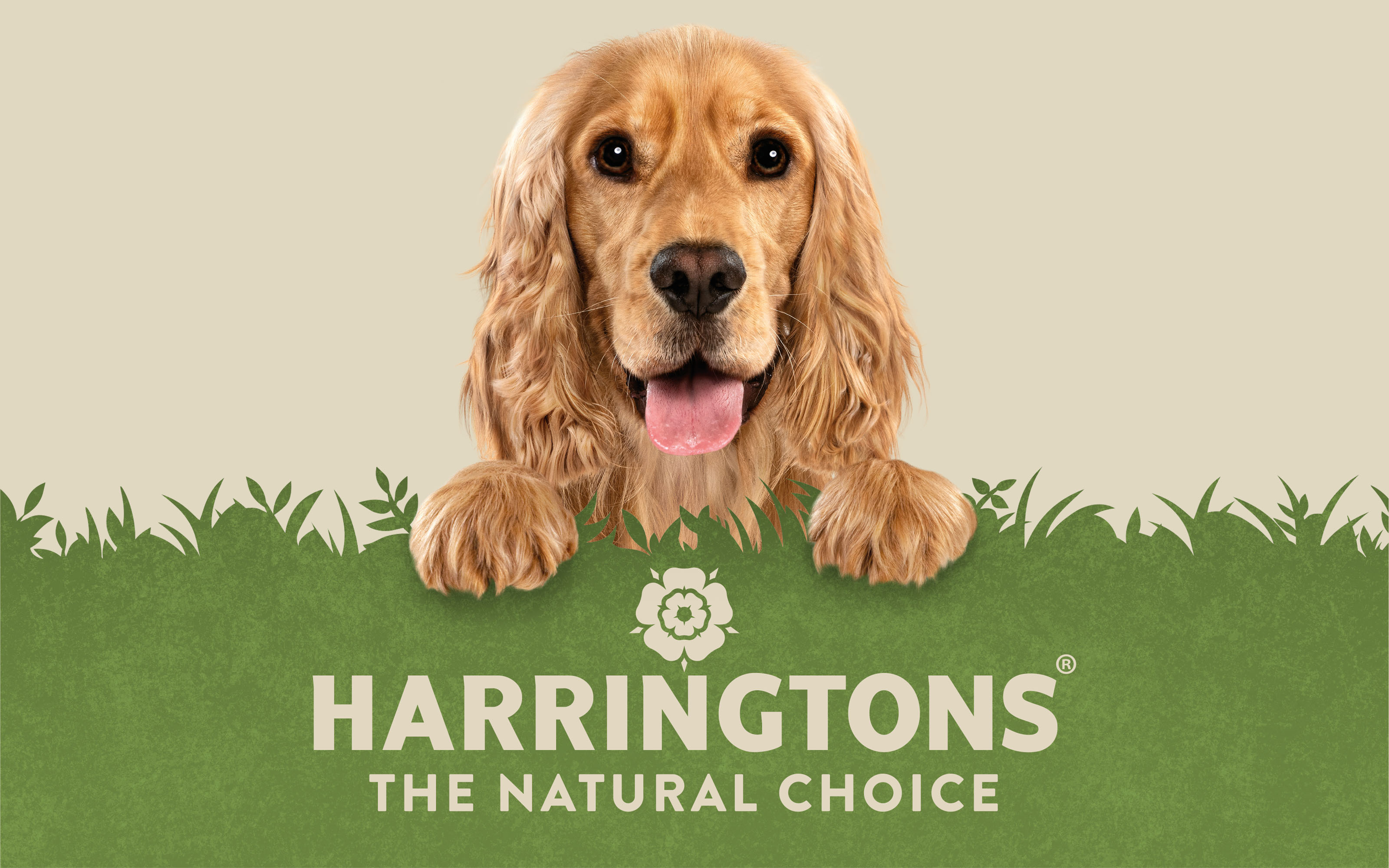 Harringtons哈靈頓貓糧狗糧寵物食品logo設(shè)計 Harringtons哈靈頓貓糧狗糧寵物食品logo設(shè)計